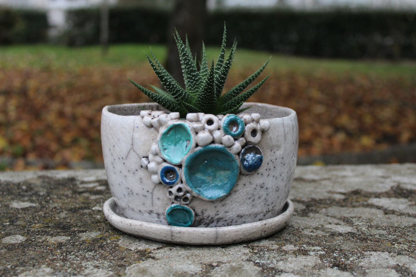 Cache-pot